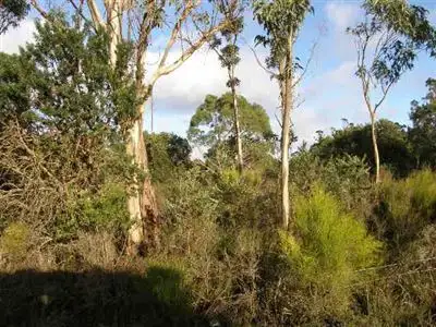 Third view of Homely rural property listing, Lot 11 Ansons Road, Gladstone TAS 7264