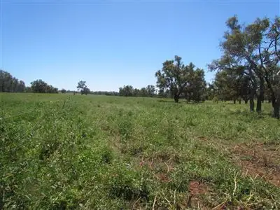 Third view of Homely rural property listing, Address available on request