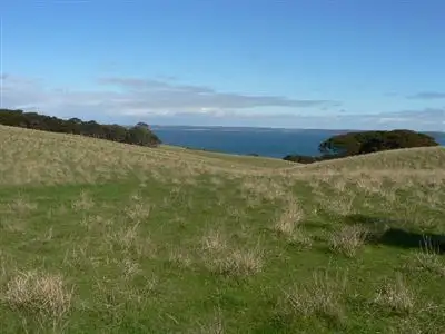 Main view of Homely rural property listing, 118 Hog Bay Road, Penneshaw SA 5222