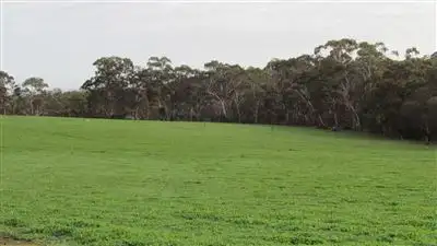 Seventh view of Homely rural property listing, Lot 11 Harvey's Quarry Road, Williamstown SA 5351