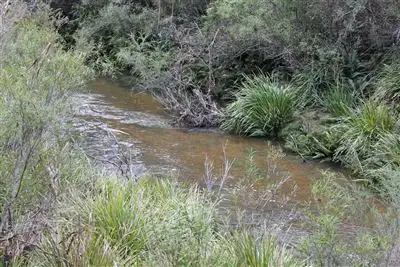 Sixth view of Homely rural property listing, Lots15etal Corang River Road, Nerriga NSW 2622