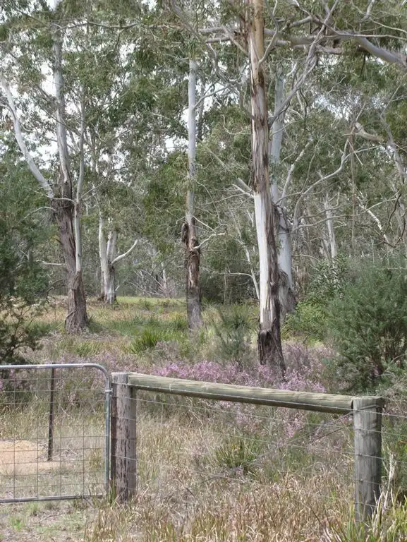 Seventh view of Homely rural property listing, 1495 Cooma Road, Braidwood NSW 2622