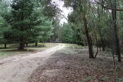 Second view of Homely rural property listing, Lot 32 South Forest Way, Braidwood NSW 2622