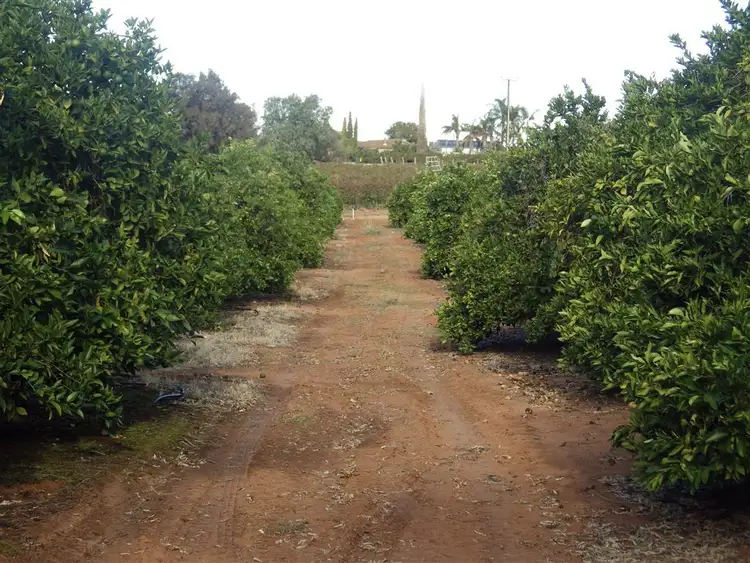 Fourth view of Homely rural property listing, 152 Farley, Kingston On Murray SA 5331