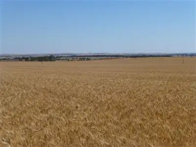 Third view of Homely rural property listing, Address available on request