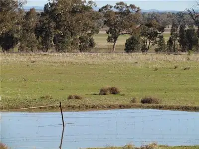 Fifth view of Homely rural property listing, 8183 "Hillside" The Escort  Way, Eugowra NSW 2806