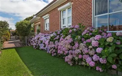 Main view of Homely house listing, 58 Seaview Road, Victor Harbor SA 5211