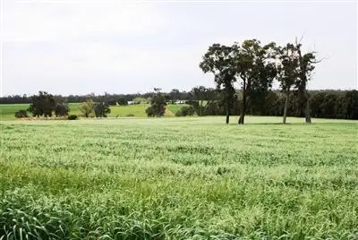 Main view of Homely rural property listing, 1275 Perup Road, Manjimup WA 6258