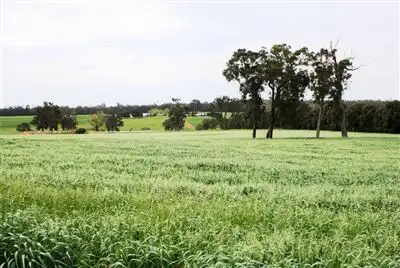 Main view of Homely rural property listing, 1275 Perup Road, Manjimup WA 6258