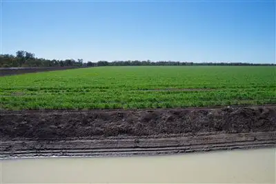 Third view of Homely rural property listing, . Gwydir Highway, Collarenebri NSW 2833