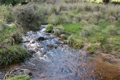 Main view of Homely rural property listing, 298 Mount Elrington Road, Braidwood NSW 2622