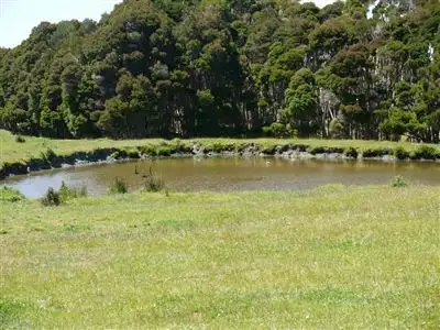 Sixth view of Homely rural property listing, 500 Millers Road, Lymwood TAS 7256