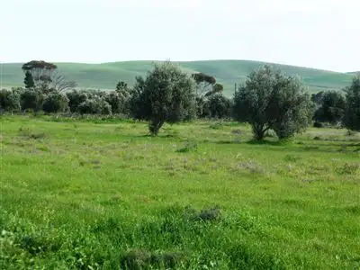 Second view of Homely rural property listing, Sec 10 Lower Templeton Road, Whitwarta SA 5461