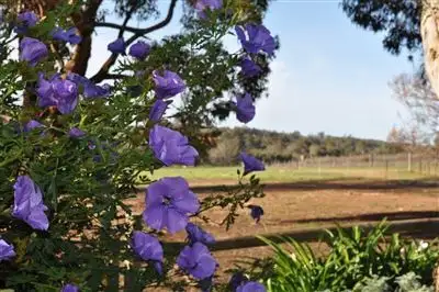 Fifth view of Homely rural property listing, Address available on request