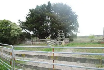 Fourth view of Homely rural property listing, 525 Andersons Road, Leongatha VIC 3953