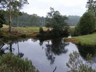 Main view of Homely rural property listing, 281 Camena Road, Penguin TAS 7316