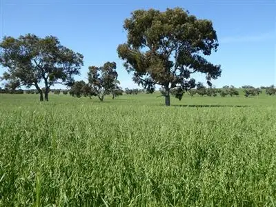 Third view of Homely rural property listing, 4855 Riddoch Highway, Padthaway SA 5271