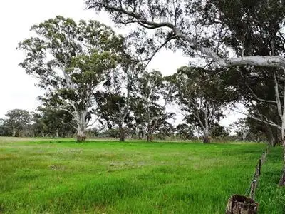 Sixth view of Homely rural property listing, 0 Raglan - Elmhurst Rd, Elmhurst VIC 3469