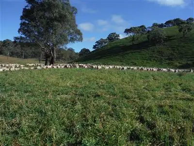 Third view of Homely rural property listing, 161 'Walteela' Bombandi Road, Ilford, Mudgee NSW 2850