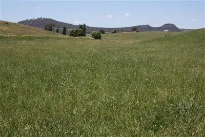 Sixth view of Homely rural property listing, 7291 The Block - Castlereagh Hwy Ilford, Mudgee NSW 2850