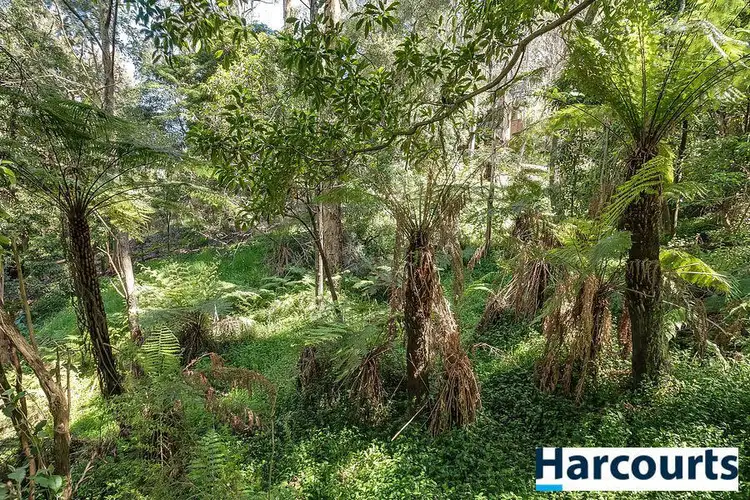 Sixth view of Homely land listing, 50 Hazelvale road, Tecoma VIC 3160