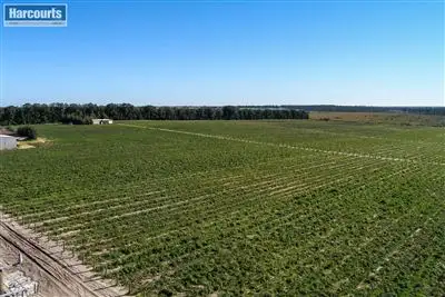 Seventh view of Homely land listing, 247 Carabooda Road, Carabooda WA 6033