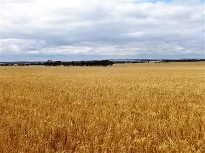 Third view of Homely rural property listing, Address available on request