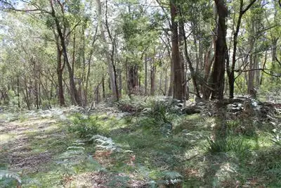 Fifth view of Homely rural property listing, Lot 2 Back Creek Road, Braidwood NSW 2622