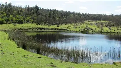 Sixth view of Homely rural property listing, 71 Nourses Road, Bridport TAS 7262