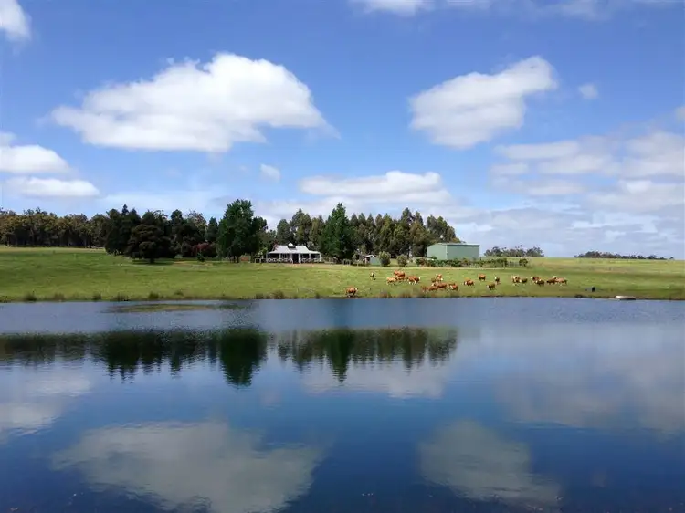 Main view of Homely rural property listing, 200 Irish Point Road, Manjimup WA 6258