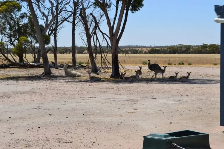 Fifth view of Homely rural property listing, Address available on request