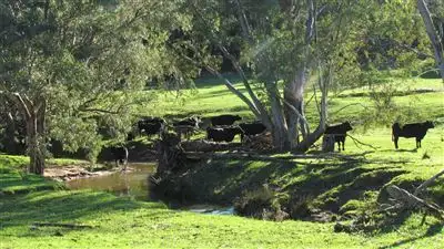 Main view of Homely rural property listing, Address available on request