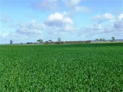 Second view of Homely rural property listing, Address available on request