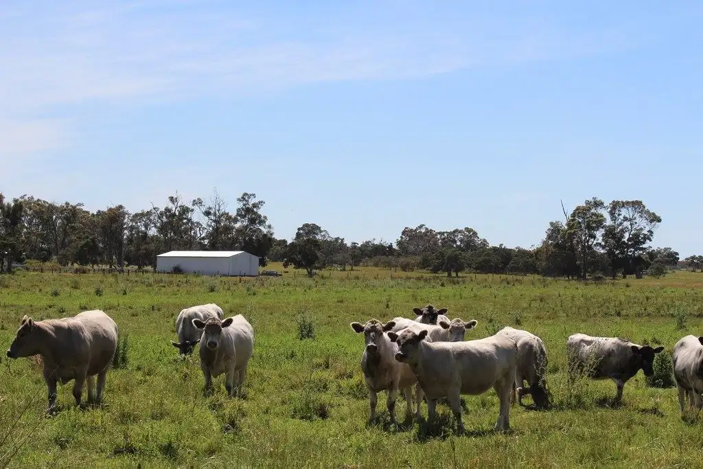 Main view of Homely rural property listing, 278 Redmond West Road, Redmond WA 6327