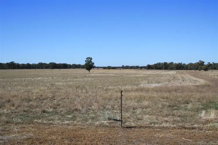Seventh view of Homely rural property listing, 675 Balladoran Railway Road, Gilgandra NSW 2827