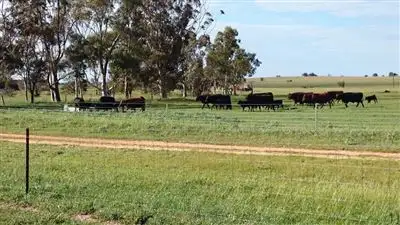 Fourth view of Homely rural property listing, 898 Agaton Road, Dandaragan WA 6507