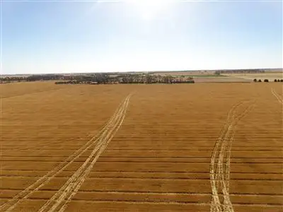 Fourth view of Homely rural property listing, 382 Mount William Road, Skipton VIC 3361