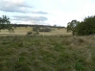 Main view of Homely rural property listing, Lot 161 "Wiles", Bombala NSW 2632