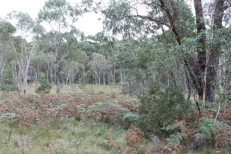 Sixth view of Homely rural property listing, Lot 2 McRaes Road, Braidwood NSW 2622
