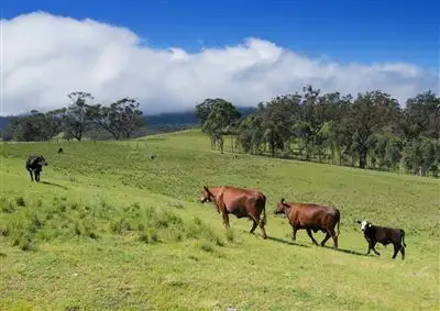 Fourth view of Homely rural property listing, Herongate/450 Fullers Lane, Wallabadah NSW 2343