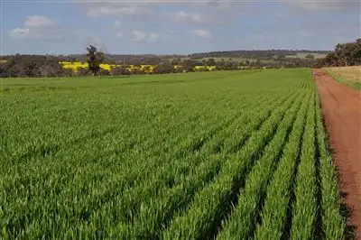 Main view of Homely rural property listing, Address available on request