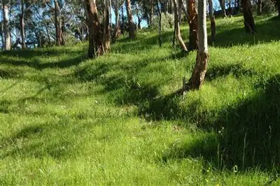 Sixth view of Homely land listing, 763 Greenhill Rd, (adj Burnside), Greenhill SA 5140