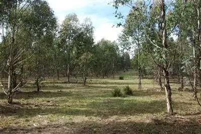244 Bukeiro Road, Walcha NSW 2354