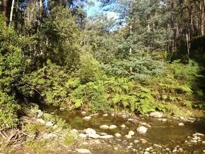Seventh view of Homely rural property listing, 540 Davis Gully Road, Four Mile Creek TAS 7215