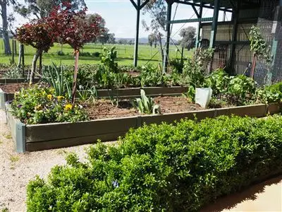 Seventh view of Homely rural property listing, 1376 Benalla Tatong Rd, Benalla VIC 3672