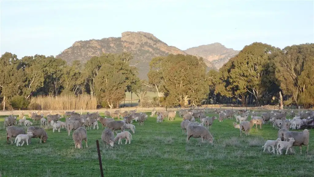 Main view of Homely rural property listing, 765 Wonwondah- Dadswells Bridge Road, Laharum VIC 3401