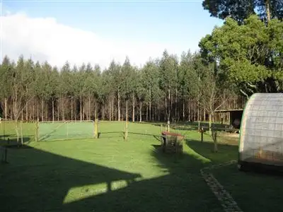 Sixth view of Homely house listing, 51 Matthews Road, Trowutta TAS 7330