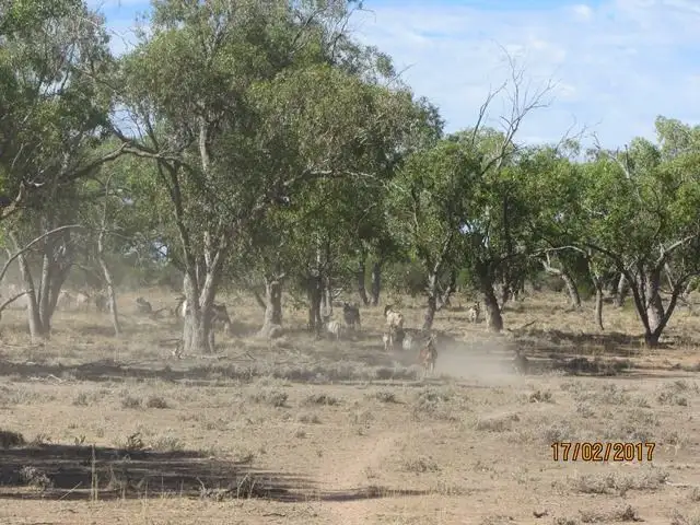 Fourth view of Homely rural property listing, * Mount Kew, Wilcannia NSW 2836