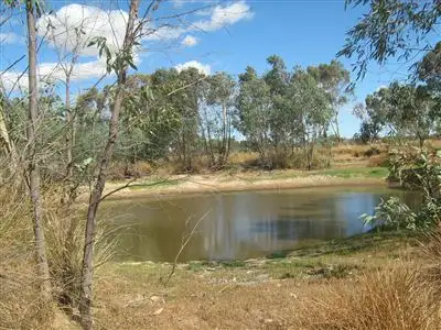 Sixth view of Homely rural property listing, 775 Chiltern-Rutherglen Road, Rutherglen VIC 3685