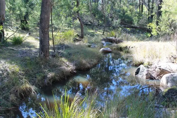 Main view of Homely rural property listing, Lot 9 Torrington Rd, Torrington NSW 2371